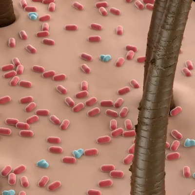 Biotic Schwarzkopf | Coserty.com Biotic Schwarzkopf | Coserty.com